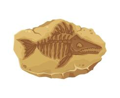 Marine fossil, ancient fish skeleton stone imprint vector