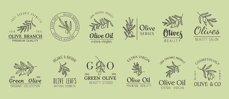 Olive tree branches with leaves minimal icons vector