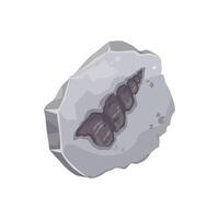 Seashell fossil, ancient sea animal stone imprint vector