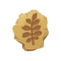Fern fossil, ancient stone plant leaf imprint vector
