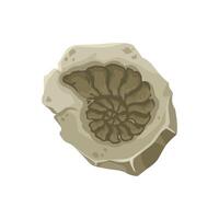Seashell fossil, ancient stone nautilus imprint vector