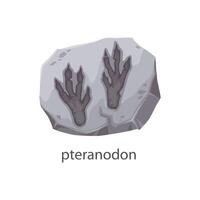 Dinosaur footprint fossil in archeology stone vector