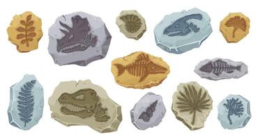 Dinosaur fossil ancient fish skeleton, stone plant vector