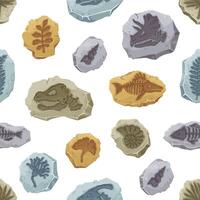Pattern of dinosaur fossil, fish, plant imprint vector