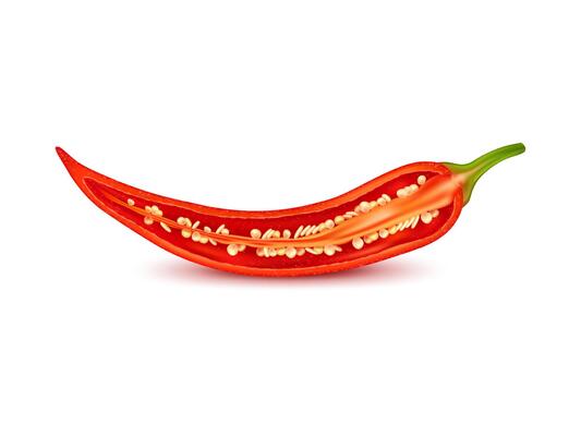 Realistic half chili pepper longitudinal section