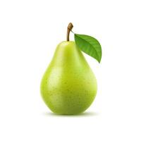 Raw realistic green pear, whole fruit with leaf vector