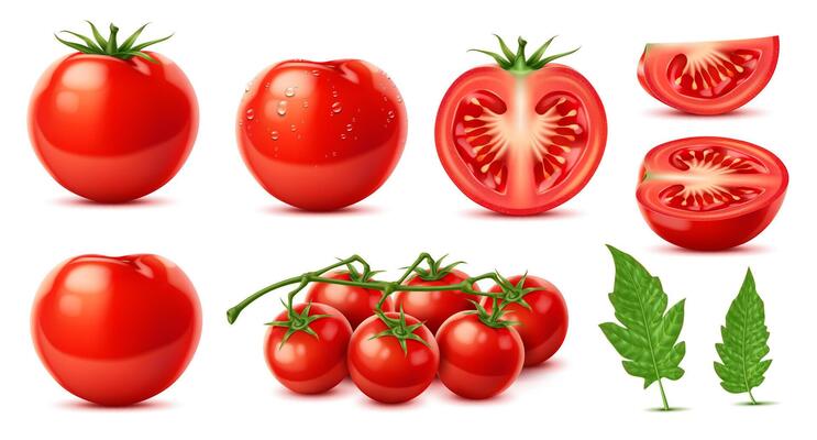 Raw realistic ripe red tomato, whole and slice
