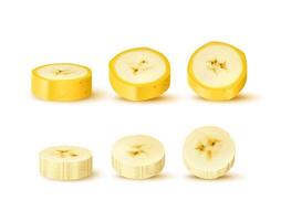 Realistic sliced banana, ripe fruit circle slices vector