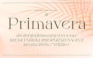 Minimal elegant font, glamor alphabet type vector