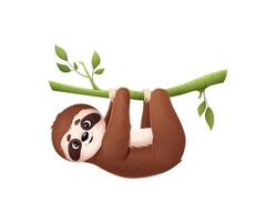 Cartoon cute lazy sloth animal hang on tree branch vector