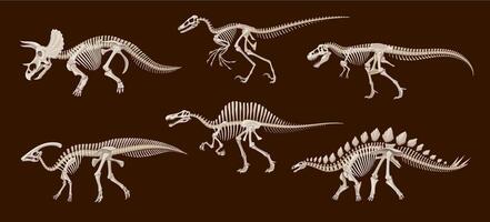 Cartoon dinosaur fossil skeletons, dino skulls vector
