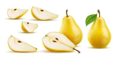 Raw realistic yellow pear ripe fruit, whole, half vector