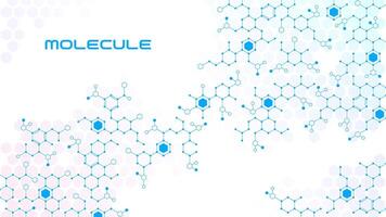 Molecule background, science, molecular structure vector