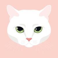 Cat head on pink background. Feline face. White cat with green eyes. illustration vector