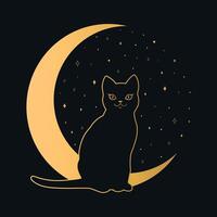 Black cat sitting on a crescent. Magic and sorcery background. illustration vector