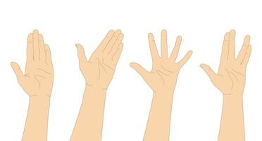 Set of hand drawn human hands. Hand palms with different gestures. illustration vector