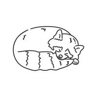 Hand drawn cute red panda is sleeping. Red panda outline. illustration vector