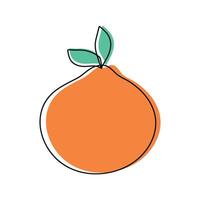 Hand drawn doodle orange on white background. Fruit outline. illustration vector
