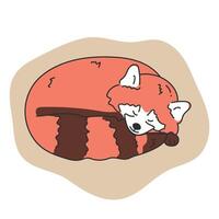 Hand drawn cute red panda is sleeping. Cartoon sleepy red panda character. illustration vector
