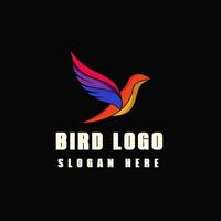 Bird logo design template vector