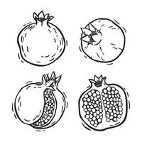 Whole pomegranates and pomegranate halves with pulp. botanical black and white set of illustrations in linocut style on an isolated background. Drawing for food and cosmetics packaging design vector