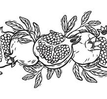 Composition of different pomegranates with leaves. endless seamless botanical black and white illustration in graphic style. Drawing for food and cosmetics packaging design, postcards vector