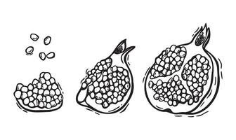 drawing of a whole pomegranate, half a pomegranate with seeds. Botanical black and white illustration, hand drawn in linocut style. Drawing for packaging design, menus, recipes, postcards vector