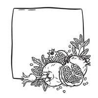 Square frame with pomegranate and leaves. botanical black and white contour pattern frame, hand drawn in graphic style. Drawing for food and cosmetics packaging design, menu, card, paper vector