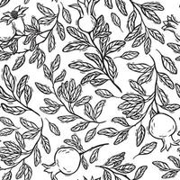 Pomegranate branches with leaves. seamless pattern in linocut style. Suitable for use in textile design, wallpaper, kitchen decor and wrapping paper. Black and white lines for coloring vector