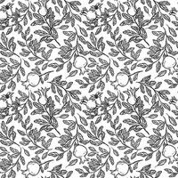 Pomegranate branches with leaves. seamless pattern in linocut style. Suitable for use in textile design, wallpaper, kitchen decor and wrapping paper. Black and white lines for coloring vector