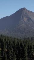 A view of a mountain range with trees in the foreground video