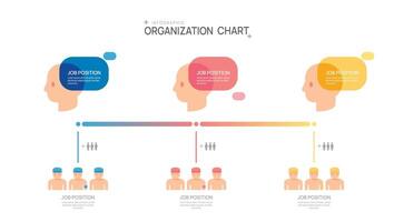 Infographic template for organization chart with avatar icons. infographic for business. vector