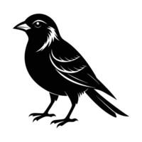Silhouette of a bird on white Background. line art of abstract art design, minimal bird line logo icon illustration isolated on white background. Bird Silhouette Art illustration. vector