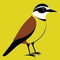 Solid color Great Kiskadee animal design vector