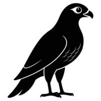 Solid color Goshawk animal design vector