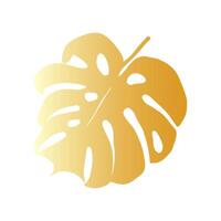 Monstera silhouette leaves vector