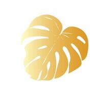 Monstera silhouette leaves vector