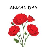Illustration of Remembrance Day Anzac Day. Red poppies on white background. illustration for design vector