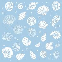 Set of colorful seashells isolated on white background. illustration. vector