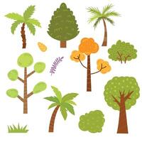 Set of different trees with green leaves on white background. vector