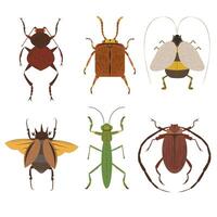 set of beetles on a white background vector