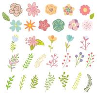 Set of flowers, leaves, twigs, branches vector