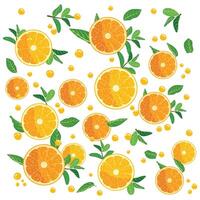 Drops Fresh Orange Fruits with leaf slice with white Background vector