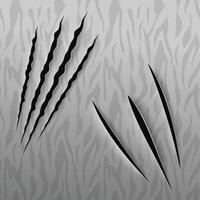 Tiger Claw Scratch with Texture Background vector