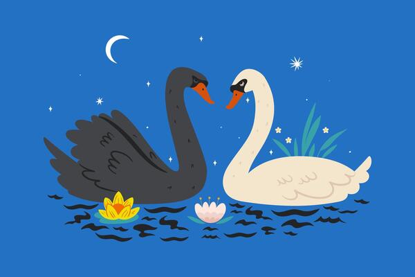 Postcard with swans on the pond. graphics.