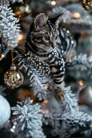 Cat with Sparkling Rhinestones on Christmas Tree, Holiday Celebration New Year photo