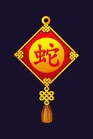 Chinese amulet with knot and symbol Chinese New Year of the snake. Lucky charm. vector