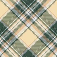 Plaid pattern . Check fabric texture. Seamless textile design for clothes, paper print. vector