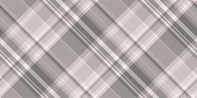Premium background texture fabric, path textile pattern seamless. Hispanic check tartan plaid in grey and white colors. vector