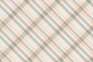 Complexity texture background , tablecloth pattern seamless fabric. 1950s plaid textile check tartan in light and white colors. vector